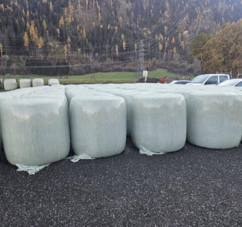 Maissilage Siloballen für Rinderfütterung, 85 Stk. (Ernte