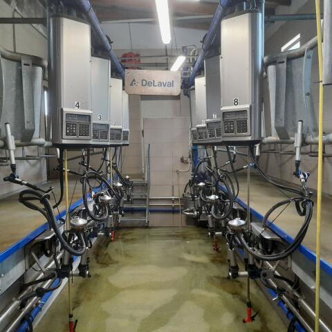 2x4 DeLaval Melkstand