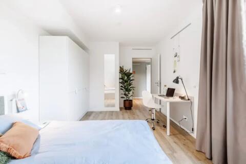 Mannheim Area, Ludwigshafen Mannheim, Premium Student Living