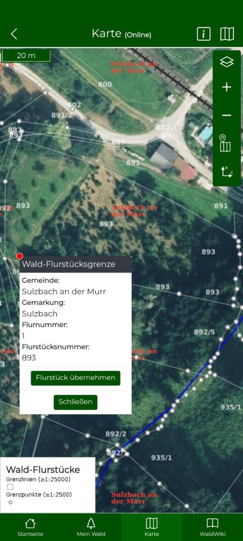 Christbaumkultur und Obstbäume