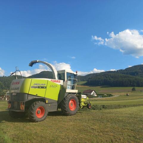 Claas Jaguar 870