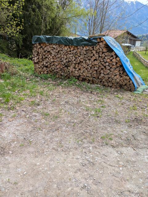 Brennholz