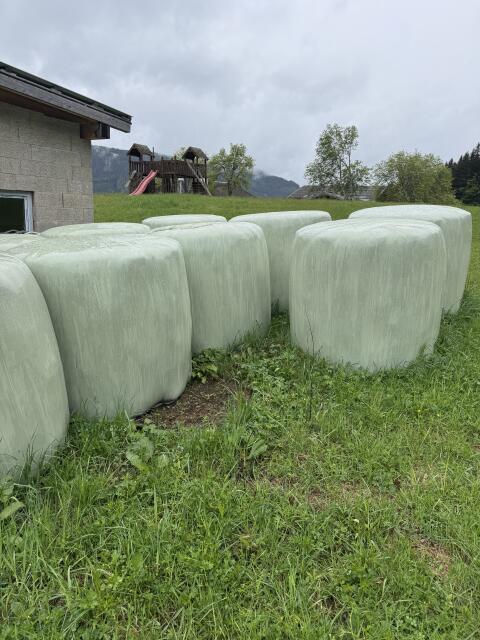 Silageballen zu verkaufen