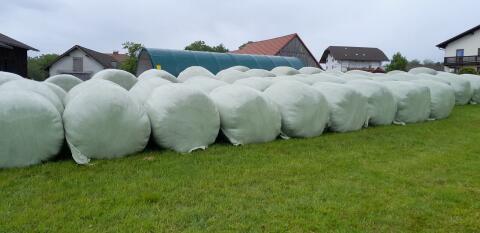 Silageballen