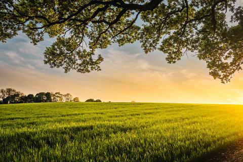 Suche Landwirtschaft zum Kauf