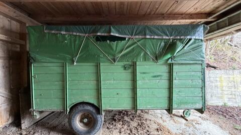 Viehanhänger Rindertransport