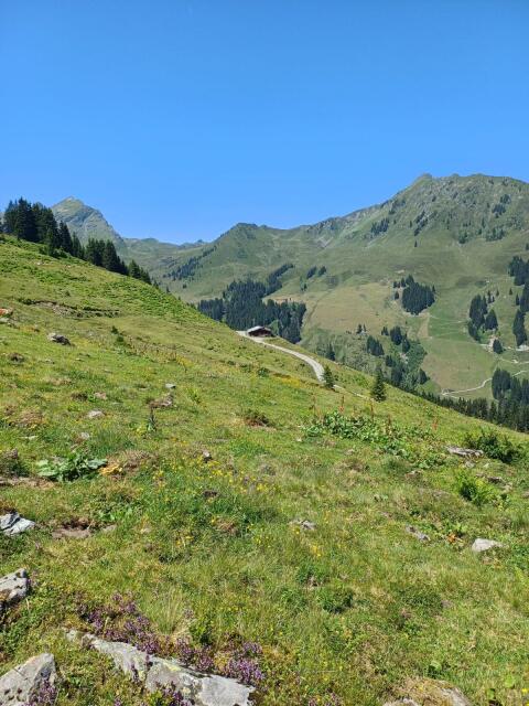 Almplätze für Sommer 2026
