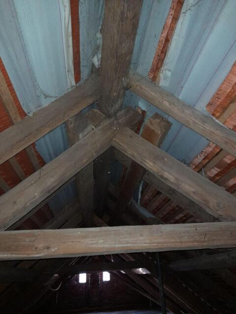 Altholz