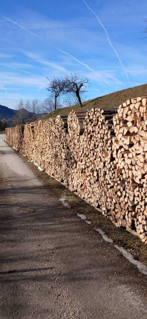 Brennholz Buche, Esche
