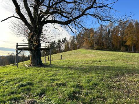 Reiterhof m. Wohnhaus, Pferdestall, 8 ha Grund zu verpachten
