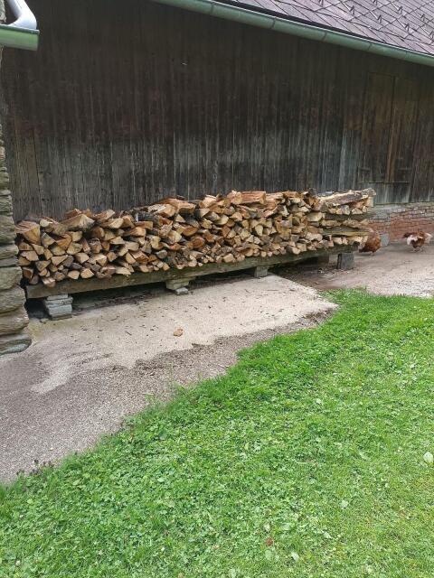 Brennholz, hart