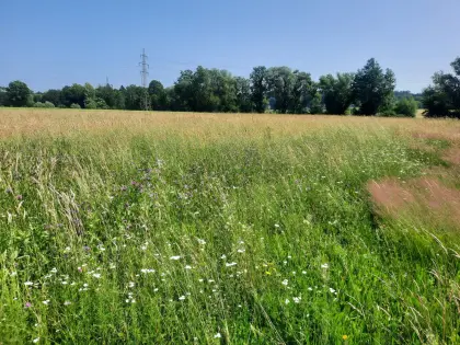 Heuballen klein