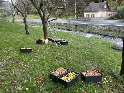 Apfelsaft naturtrüb