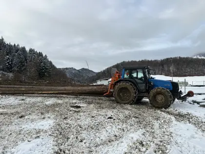 Holzschlägerung und Schadholzaufarbeitung