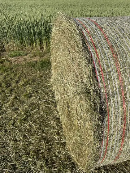 Heuballen
