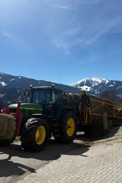 Heu, Stroh, Silage, Getreide