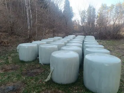 Bio-Maissilageballen