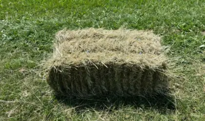 Heu Kleinballen