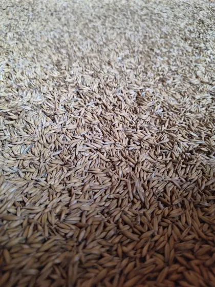 Bio-Hafer 4.000 kg