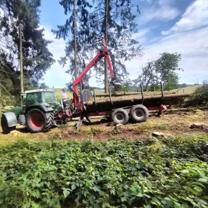 Holzrückewagen Stepa FHL 11 AK