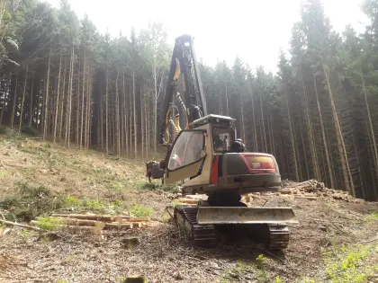 Neuson 11002 HVT und Empl Tiefbetttieflader