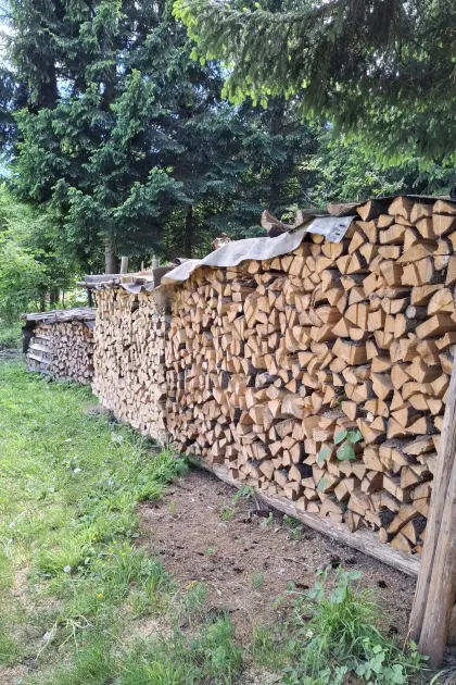 Brennholz