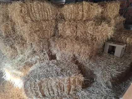 Strohballen klein, ca. 10 kg