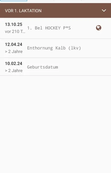 Trächtige Kalbin