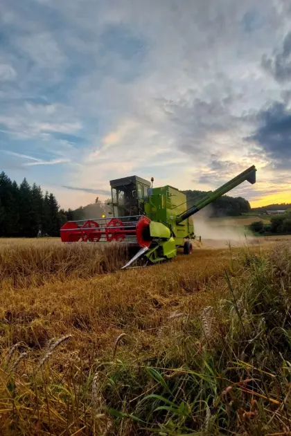 Claas Dominator 85