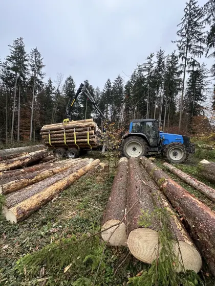 Holzschlägerung und Bringung