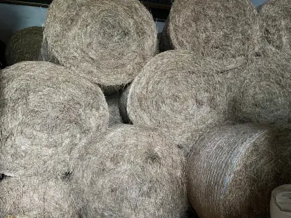 Heurundballen Ernte 2025