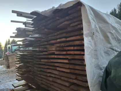 Holz