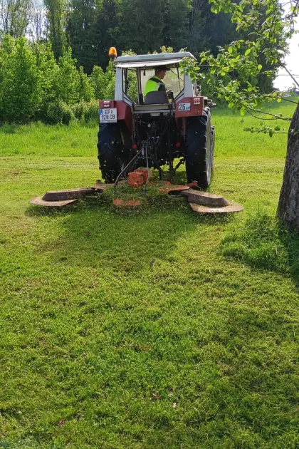 Perfekt DR-285 Kreiselmulcher