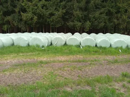 Bio Siloballen