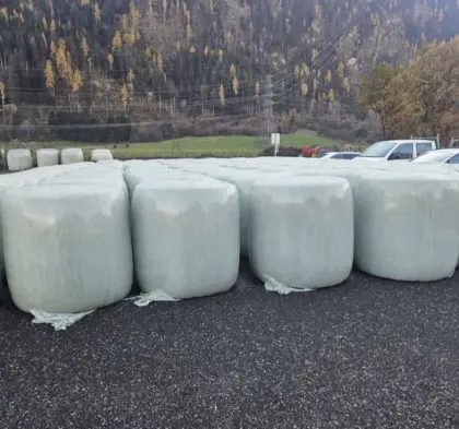 Maissilage Siloballen für Rinderfütterung, 85 Stk. (Ernte