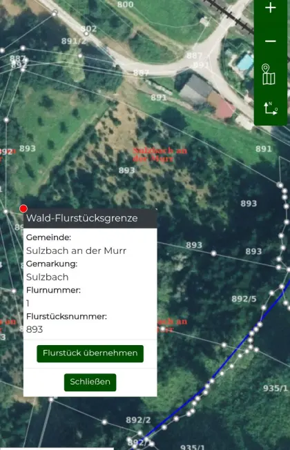 Christbaumkultur und Obstbäume
