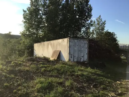 Kühlcontainer