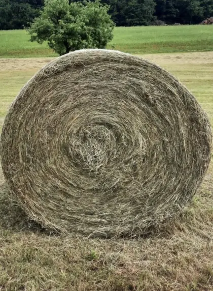 Heuballen
