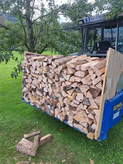 Brennholz hart