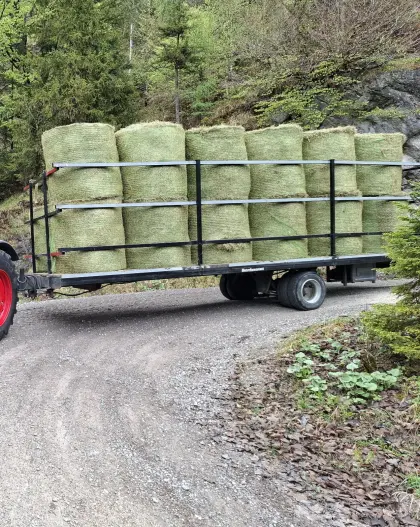 Ballenanhänger