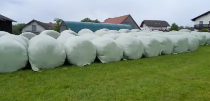 Silageballen