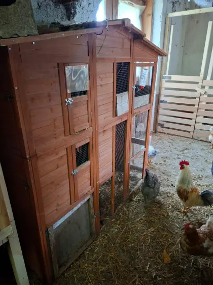 Kleintierstall
