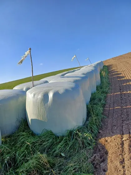 Silageballen