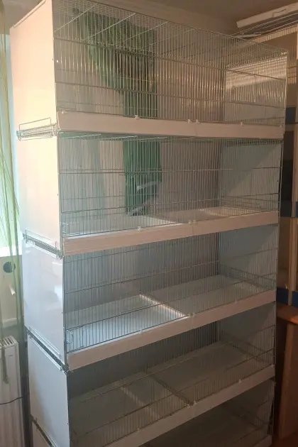 Zuchtboxen
