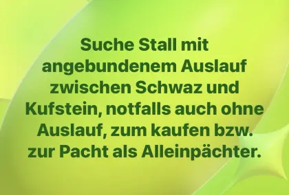 Suche.