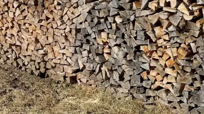 Brennholz