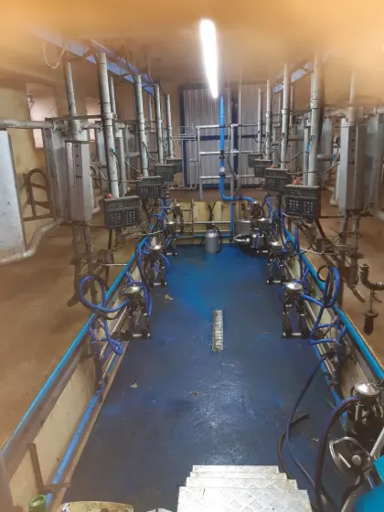 Melkstand 2 x 4er DeLaval