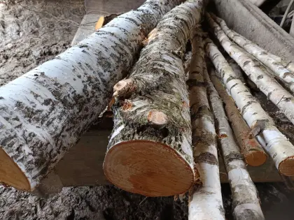 Brennholz