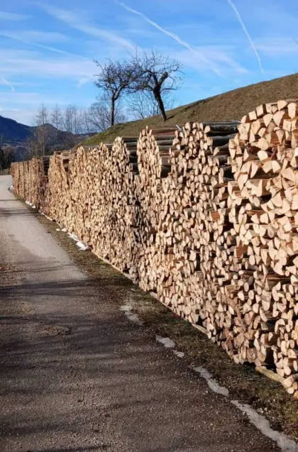 Brennholz Buche, Esche