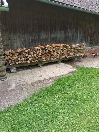 Brennholz, hart